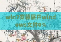 win7安装展开windows文件0%