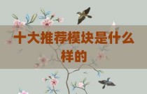 十大推荐模块是什么样的