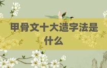 甲骨文十大造字法是什么