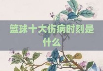 篮球十大伤病时刻是什么