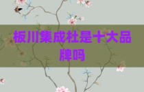 板川集成杜是十大品牌吗