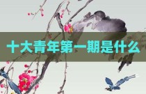 十大青年第一期是什么