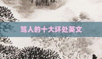 骂人的十大坏处英文