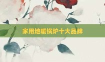 家用地暖锅炉十大品牌