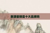 新源瓷砖是十大品牌吗