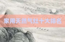 家用天然气灶十大排名