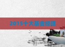2015十大基金经理