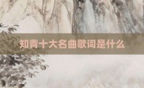 知青十大名曲歌词是什么
