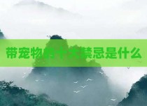 带宠物的十大禁忌是什么