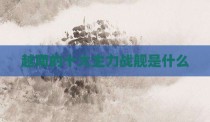 越南的十大主力战舰是什么