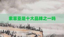 索菲亚是十大品牌之一吗
