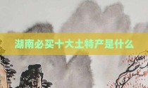 湖南必买十大土特产是什么