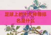 足球上的十大神锋排名是什么
