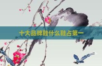十大品牌鞋什么鞋占第一