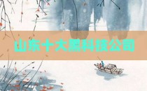 山东十大黑科技公司