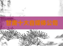 甘肃十大自媒体公司