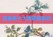 目前有十大奇葩现象吗