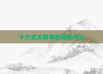 十大式太极拳名称是什么