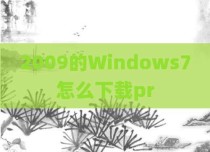 2009的Windows7怎么下载pr