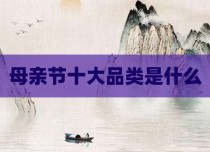 母亲节十大品类是什么