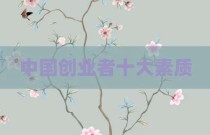 中国创业者十大素质