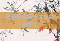 秋天最实用十大礼物是什么