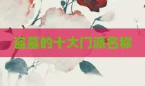 盗墓的十大门派名称