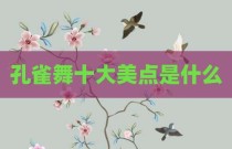 孔雀舞十大美点是什么
