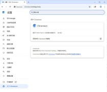 Chromium浏览器 v144.0.7532.0 绿色版