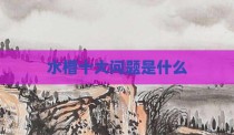 水槽十大问题是什么