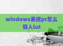 windows系统pr怎么导入lut
