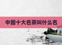 中国十大名茶叫什么名