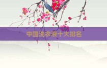 中国洗衣液十大排名