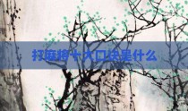 打麻将十大口诀是什么