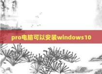 pro电脑可以安装windows10