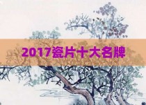 2017瓷片十大名牌