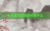 十大医疗改进目标是什么