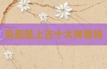 凤凰是上古十大神兽吗