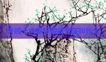 央视十大排行榜的节目叫什么
