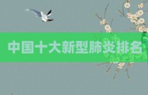 中国十大新型肺炎排名