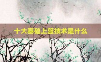 十大基础上篮技术是什么