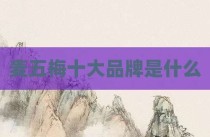 麦五梅十大品牌是什么