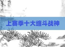 上赛季十大缠斗战神