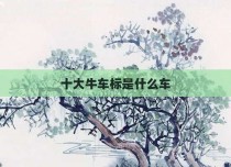 十大牛车标是什么车