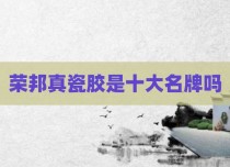 荣邦真瓷胶是十大名牌吗