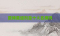 唐姆美缝剂是十大名牌吗
