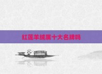 红莲羊绒属十大名牌吗