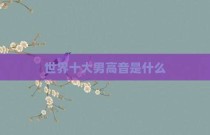 世界十大男高音是什么