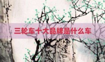 三轮车十大品牌是什么车