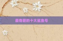 最奇葩的十大鲨鱼号